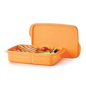 Tupperware Eco+ Lunch-it Large Container sOrange Taffy Lunch and Snacks | 69471DMWY