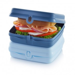 Tupperware Eco+ Sandwich Keepers White / Blue Lunch and Snacks | 91746VSLP
