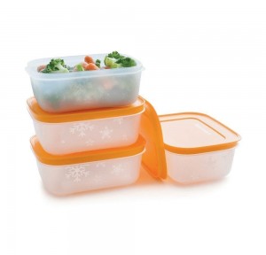 Tupperware Freezer Mates Plus Small Shallows Freezer Storage | 28794VUGA