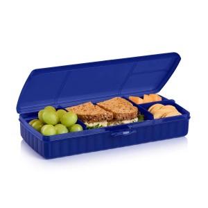 Tupperware Lunch 'N Things Container Blue Lunch and Snacks | 45680SIPZ