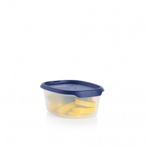 Tupperware One Touch Fresh Oval 2 1/4-cup/540 Ml Nocturnal Sea Refrigerator Storage | 91742XIPB