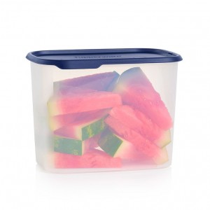 Tupperware One Touch Fresh Rectangular 18 1/2-cup/4.4 L Nocturnal Sea Refrigerator Storage | 75380NWGV