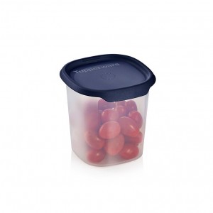 Tupperware One Touch Fresh Small Square 3 1/4-cup/ 810 Ml Nocturnal Sea Refrigerator Storage | 69825IQCK