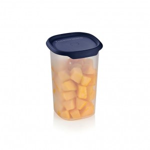 Tupperware One Touch Fresh Small Square 5 1/4-cup/1.25 L Nocturnal Sea Refrigerator Storage | 30587KXLG