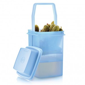 Tupperware Pick-a-deli Container Sheer Ice Cube Refrigerator Storage | 09317LCDX