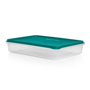 Tupperware Snack-stor Large Container Green Refrigerator Storage | 57810BRIV
