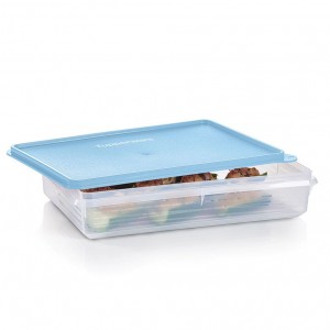 Tupperware Snack-stor Large Container Ice Cube Refrigerator Storage | 56478WOFK